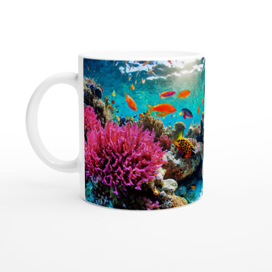 2c2c9f9b-e0b5-433b-87cc-e062954c7845